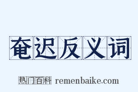 奄迟反义词是什么意思的图片